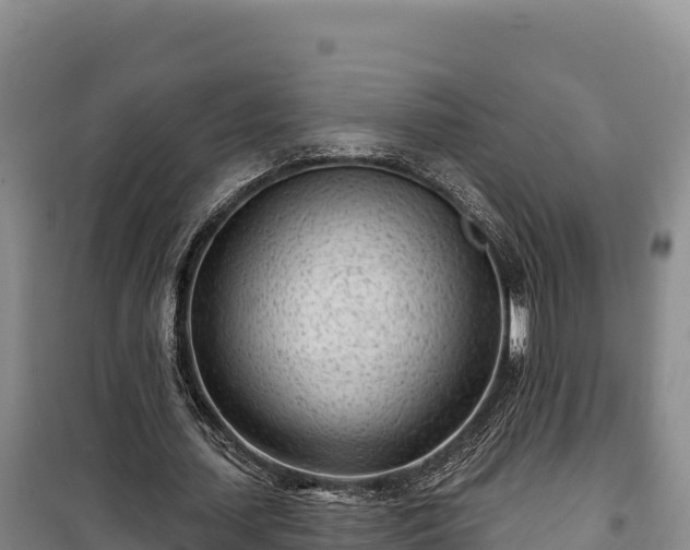 X0000100210627200806061346