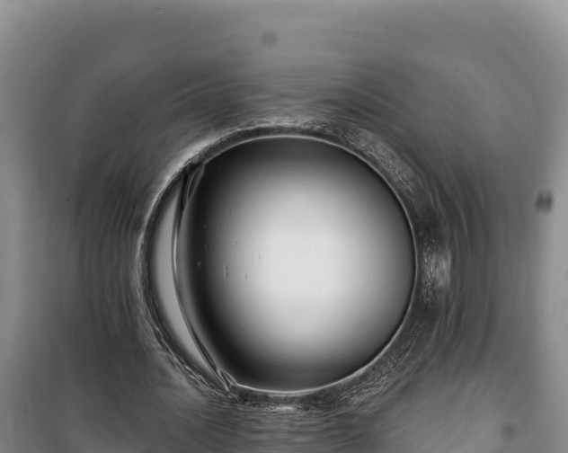 X0000100210628200806061346