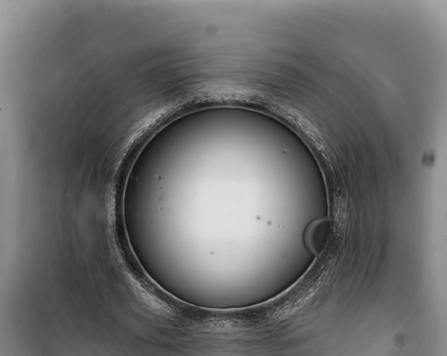 X0000100210629200806061346