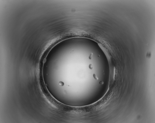 X0000100210630200806061346