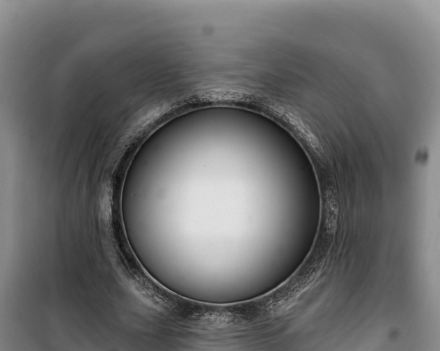 X0000100210631200806061346