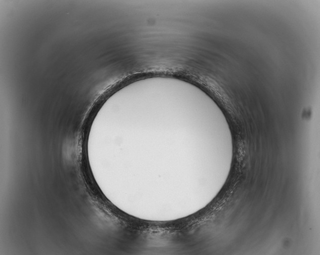 X0000100210632200806061346