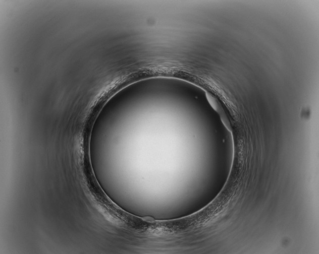 X0000100210634200806061346