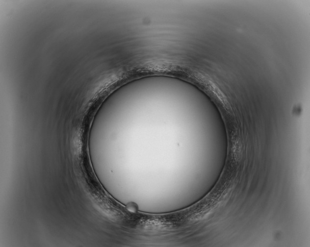 X0000100210635200806061346