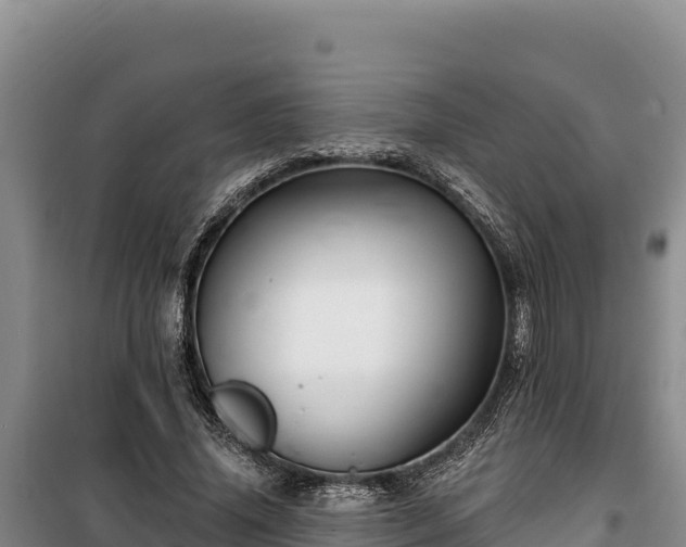 X0000100210636200806061346