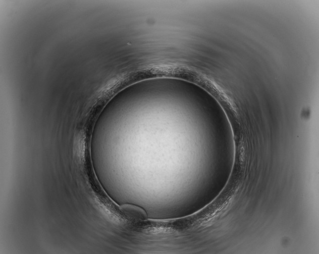 X0000100210637200806061346