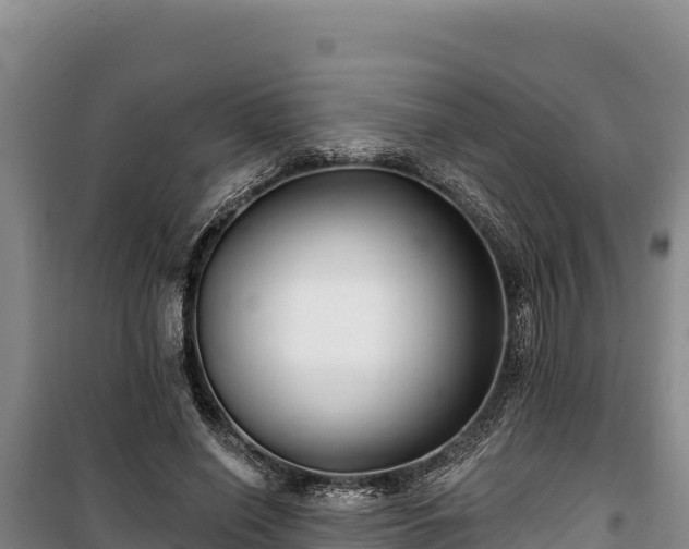 X0000100210638200806061346