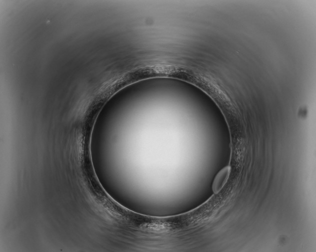 X0000100210639200806061346