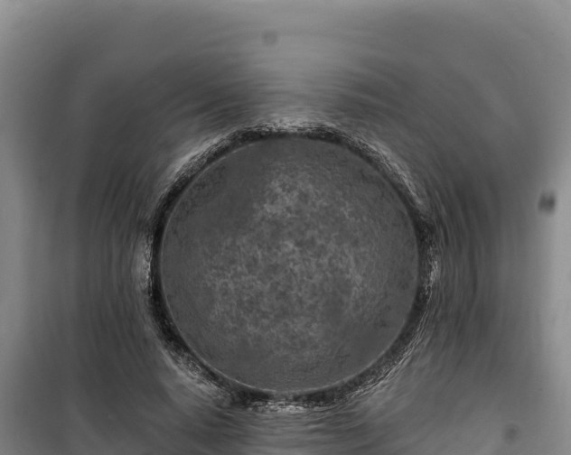 X0000100210640200806061346