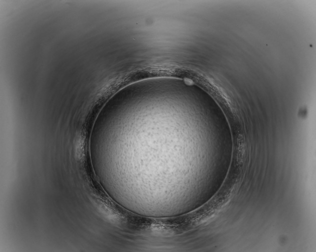 X0000100210641200806061346