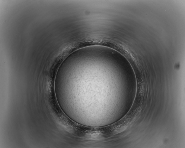 X0000100210643200806061346