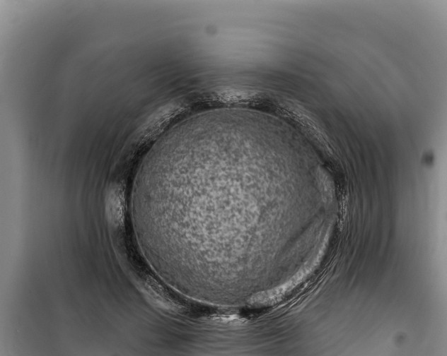 X0000100210644200806061346