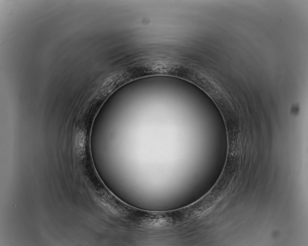 X0000100210646200806061347