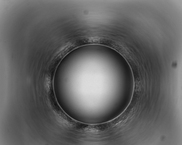 X0000100210648200806061347