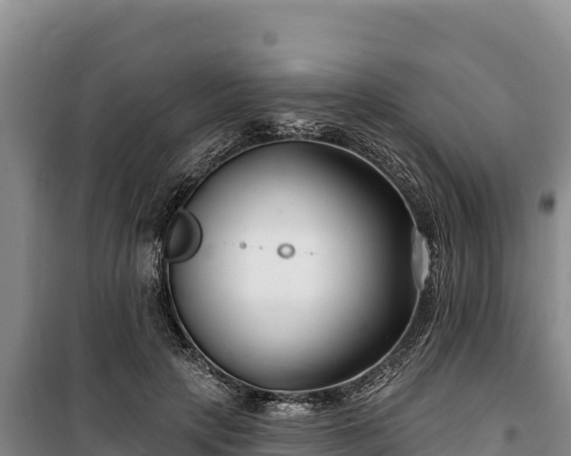 X0000100210649200806061347