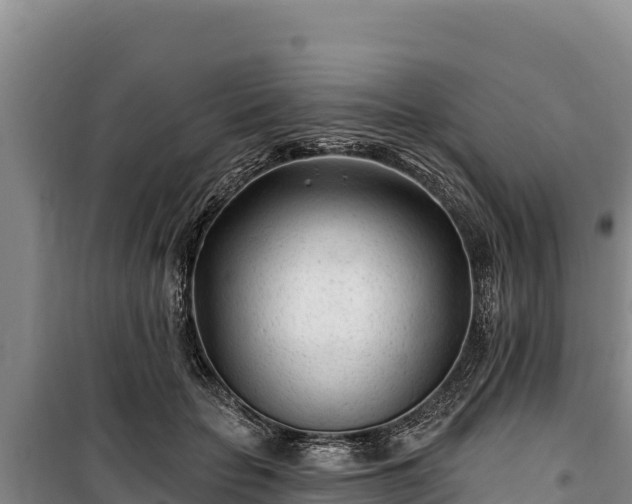 X0000100210653200806061347