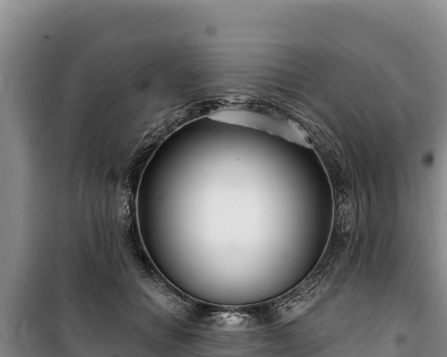 X0000100210654200806061347