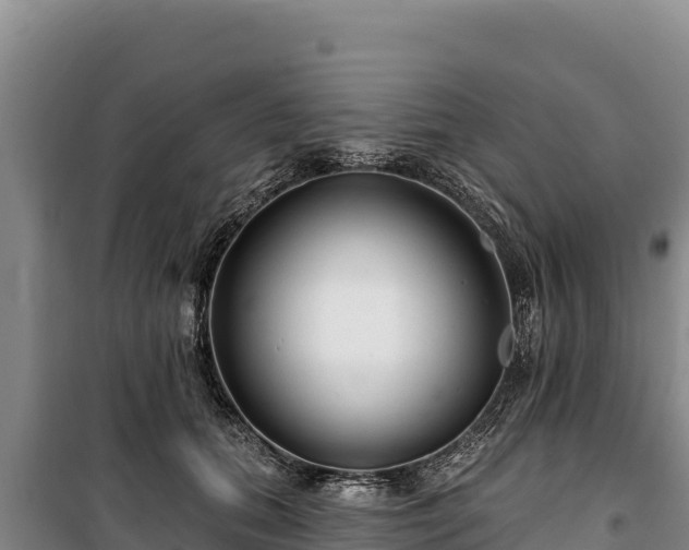 X0000100210655200806061347