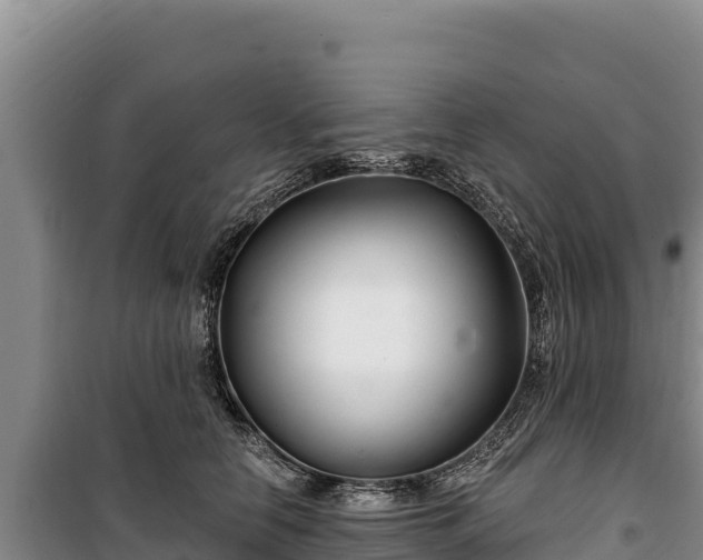 X0000100210658200806061347