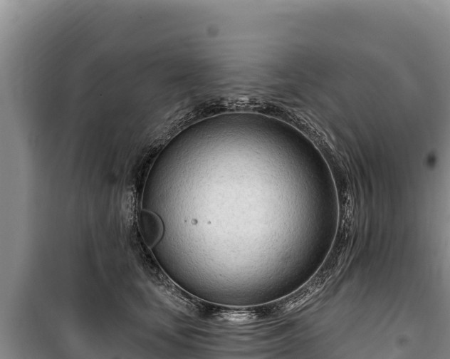 X0000100210659200806061347