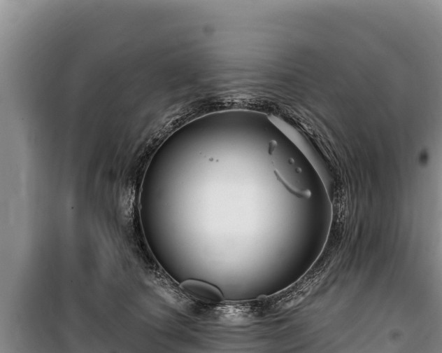 X0000100210660200806061347