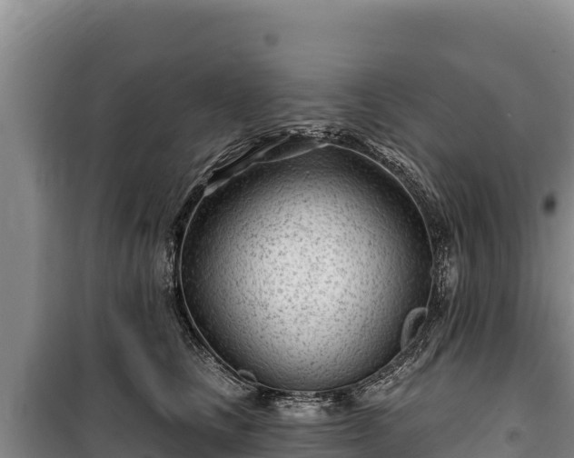 X0000100210661200806061347