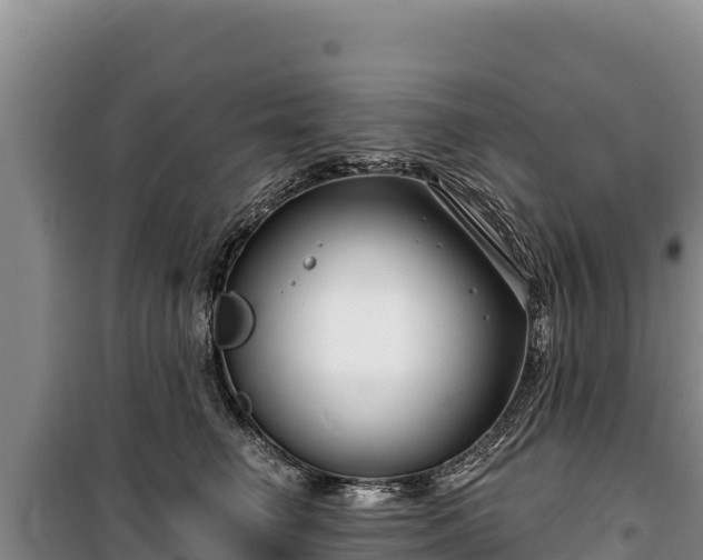 X0000100210662200806061347