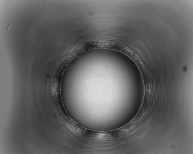 X0000100210663200806061347