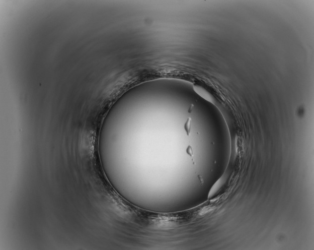 X0000100210664200806061347