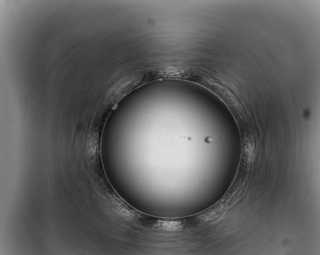 X0000100210665200806061347