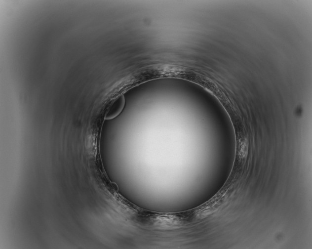 X0000100210666200806061347