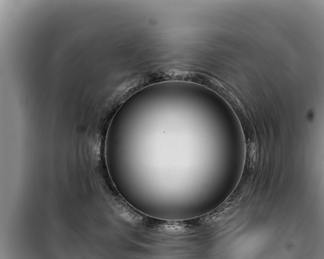 X0000100210668200806061347