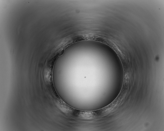 X0000100210671200806061347