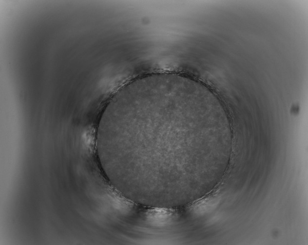 X0000100210672200806061347