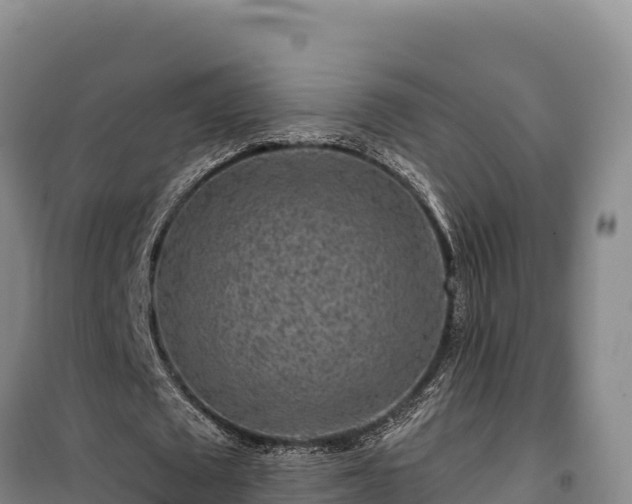 X0000100210673200806061346