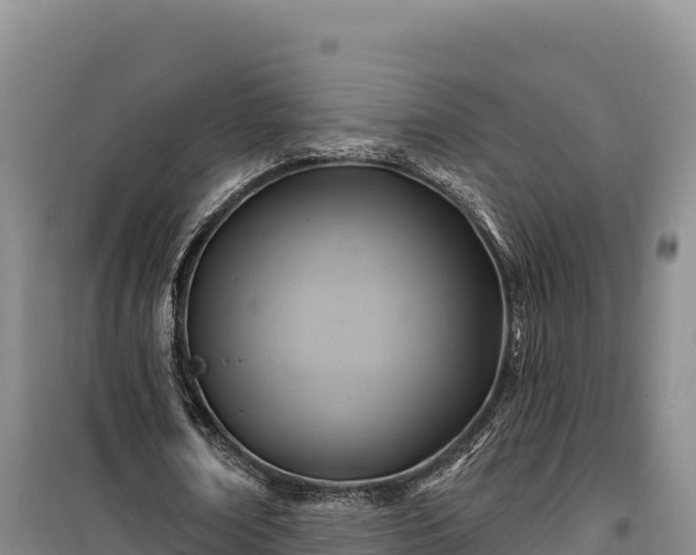 X0000100210674200806061346