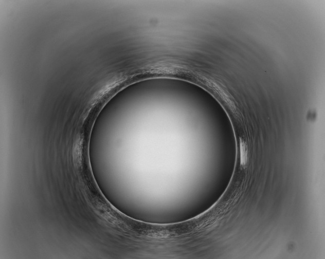 X0000100210675200806061346