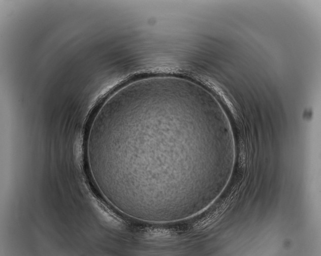 X0000100210677200806061346