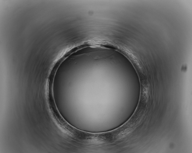 X0000100210678200806061346