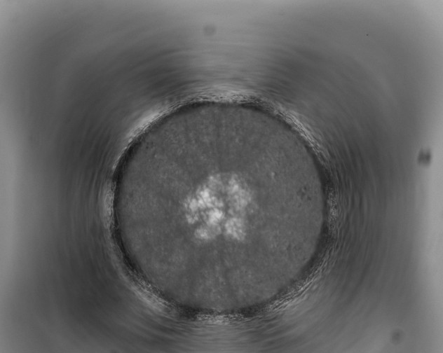 X0000100210679200806061346