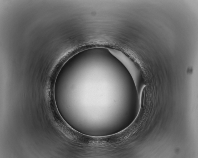 X0000100210680200806061346