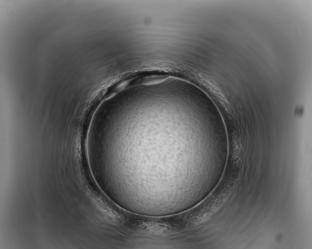 X0000100210681200806061346