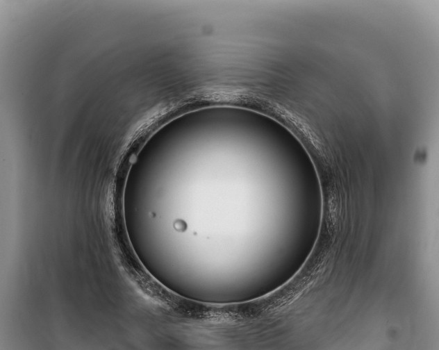 X0000100210682200806061346