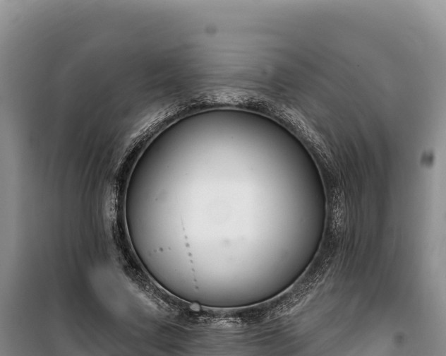 X0000100210683200806061346