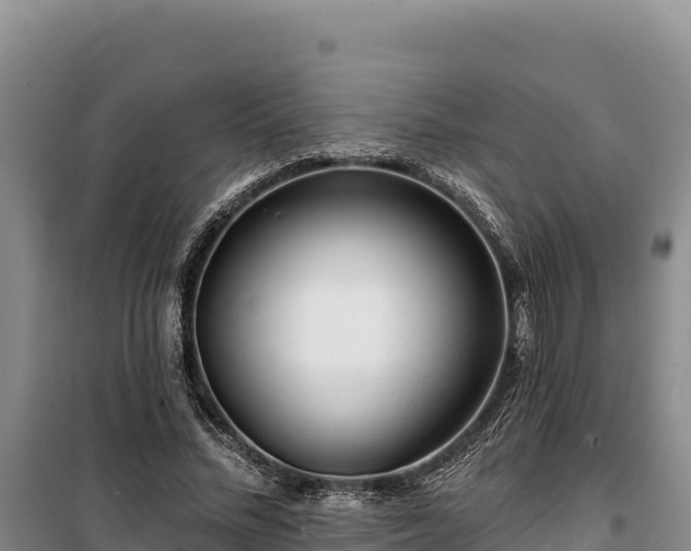 X0000100210684200806061346