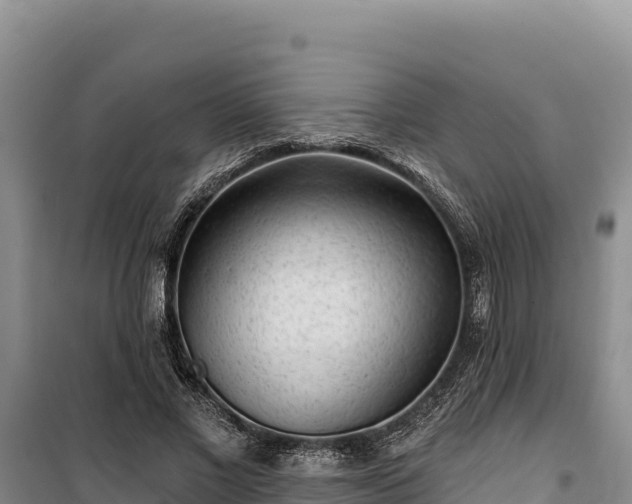 X0000100210685200806061346