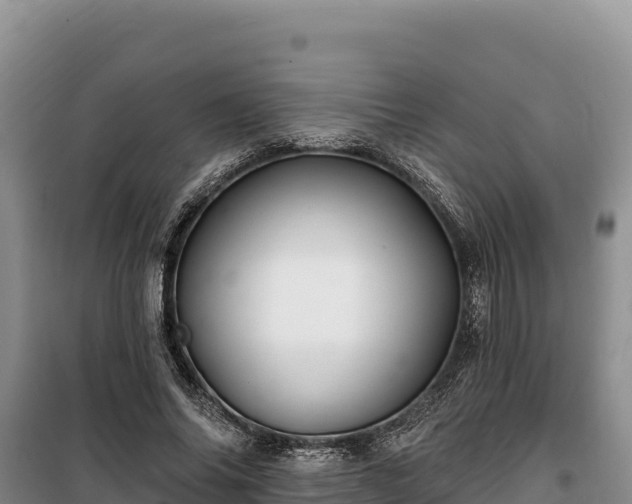 X0000100210686200806061346