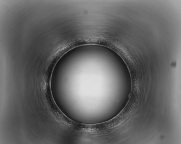 X0000100210687200806061346