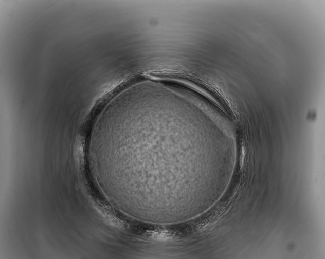 X0000100210688200806061346