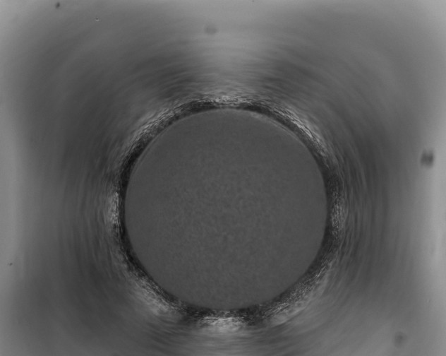 X0000100210689200806061346